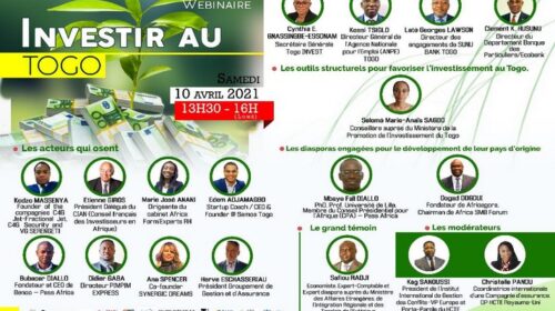 HCTE – Webinaire sur « Investir au Togo »